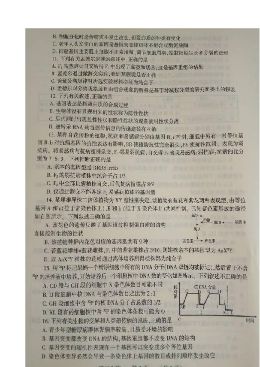 河南省濮阳市2019届高三下学期摸底考试生物试题 扫描版含答案