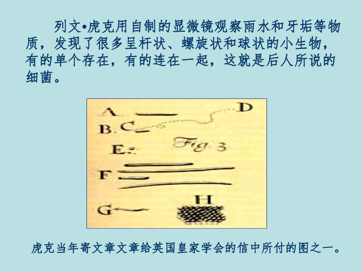 北京课标版生物七年级上册第一章第一节 认识我们身边的植物和动物 课件(共37张PPT)