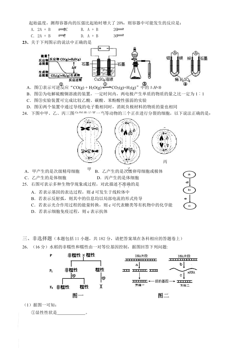 广东省揭阳一中2010届高三上学期期末考试（理综）