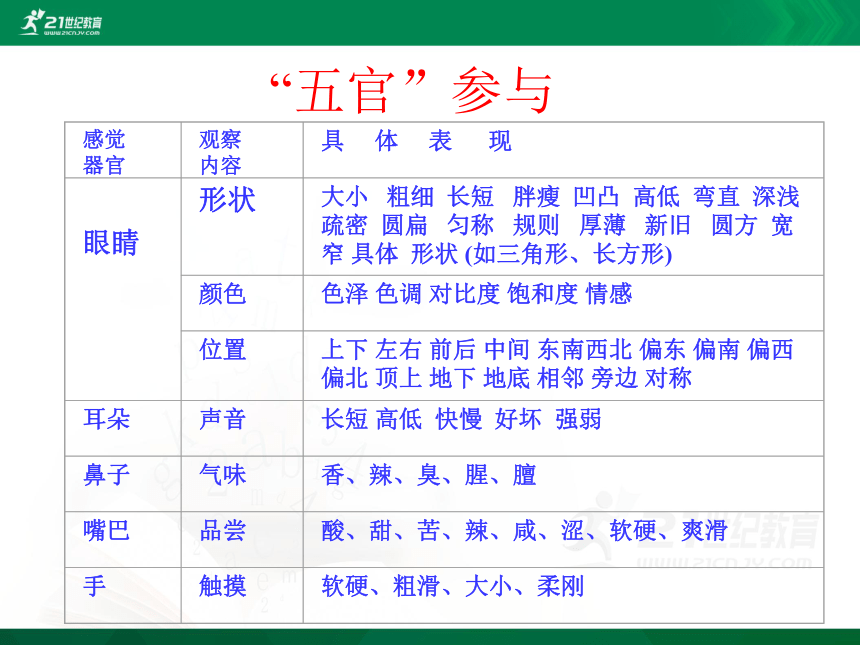 小学语文学科作文  5 三分钟观察比赛 课件