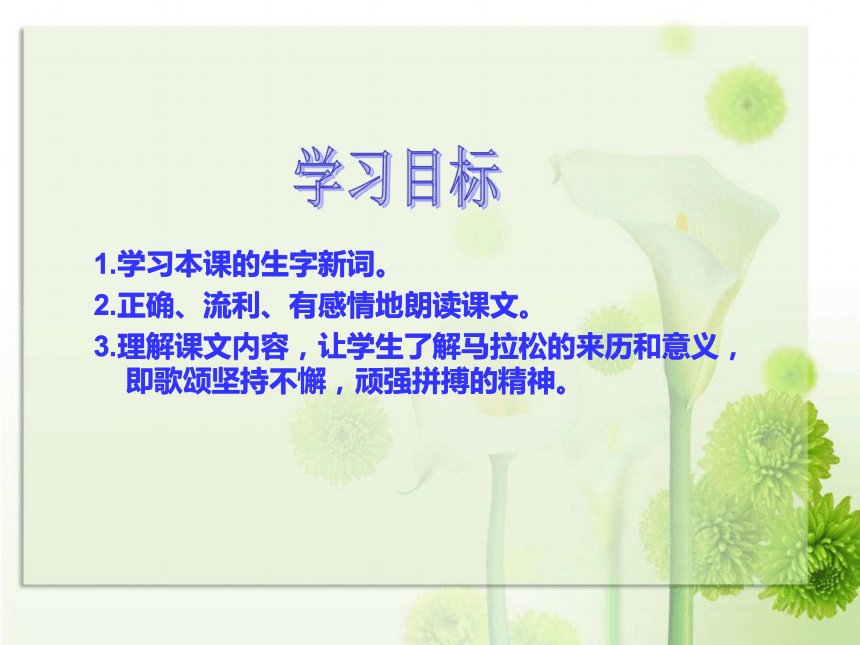 北师大版小学三年级语文《马拉松》课件