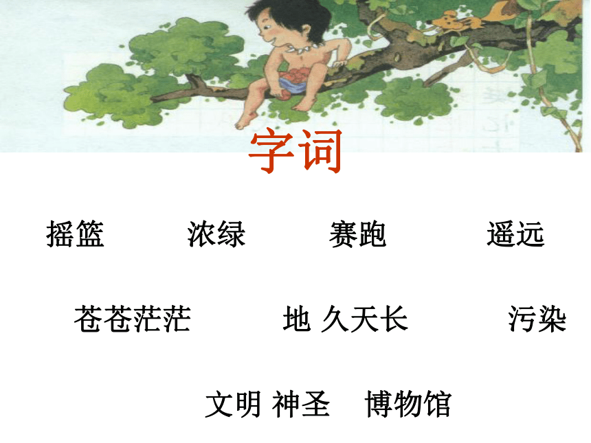 沪教版四年级语文下册《祖先的摇篮 1》PPT课件
