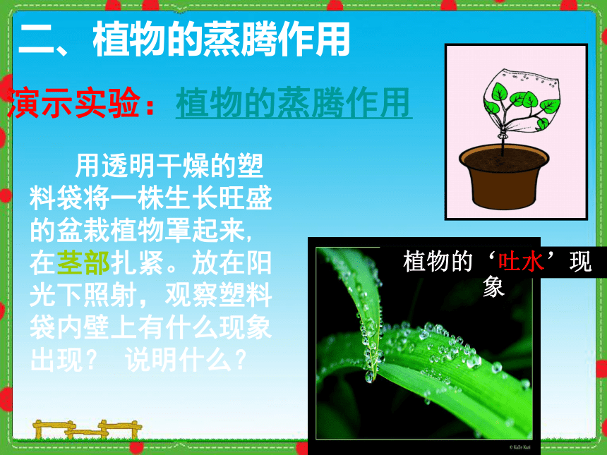 绿色植物参与生物圈的水循环课件