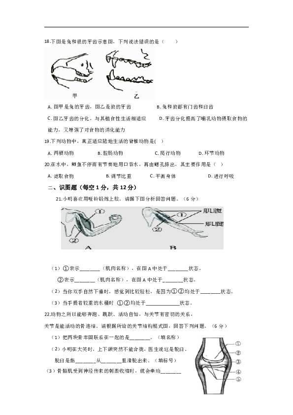 重庆江南新区联盟2018-2019学年八年级上学期期中联考生物试卷