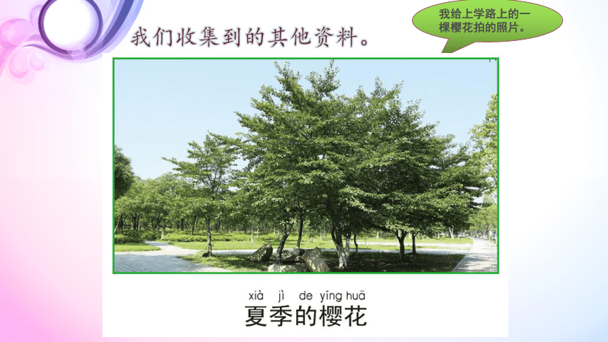 5.植物是“活”的吗课件（26ppt）