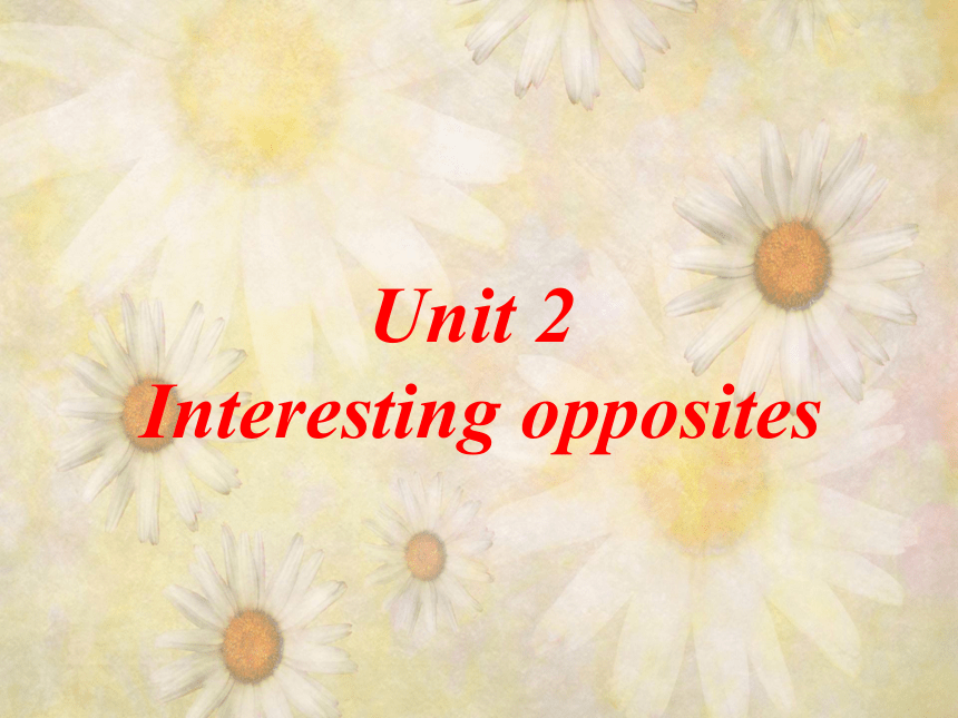 《Unit2 Interesting opposites Lesson10》课件  (共15张PPT)