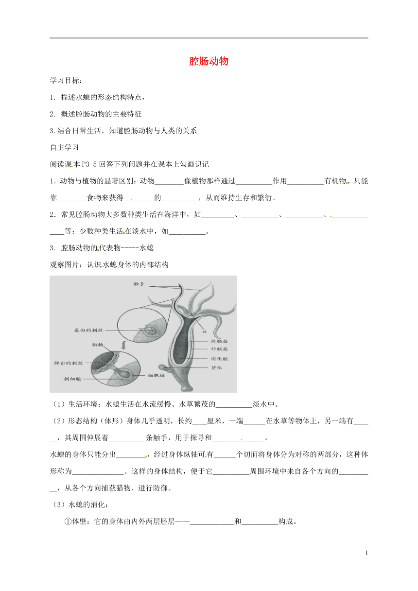 八年级生物上册5.1.1腔肠动物学案（无答案）
