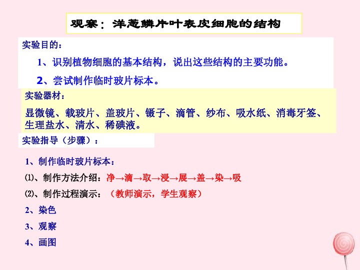 七年级生物上册第一单元奇妙的生命现象第二章观察生物结构第1节细胞的结构和功能课件（28张PPT）