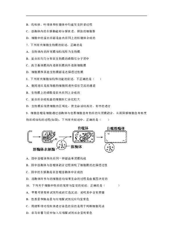 2020年高考生物课时过关练：细胞器（解析版)