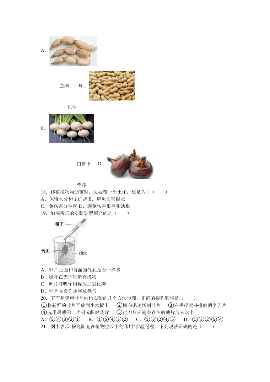 山东省临沂市平邑县街道一中2015-2016学年七年级（上）期末生物试卷（解析版）