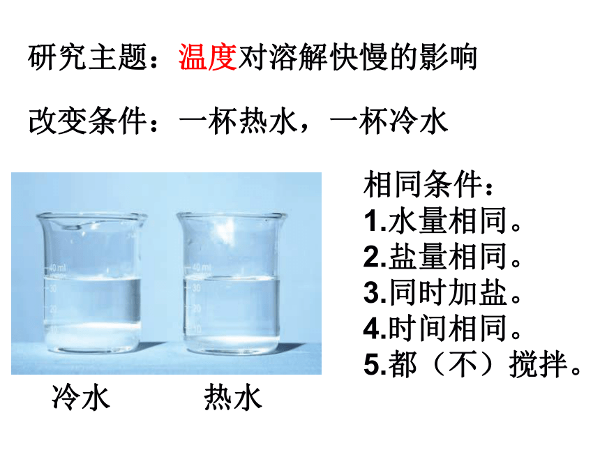 四年级科学上2、5溶解的快与慢