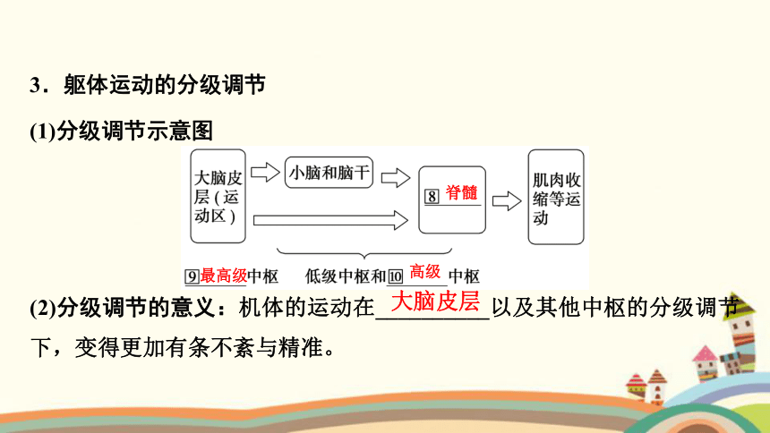 5.神經系統對軀體運動和內臟活動存在分級調節.4.