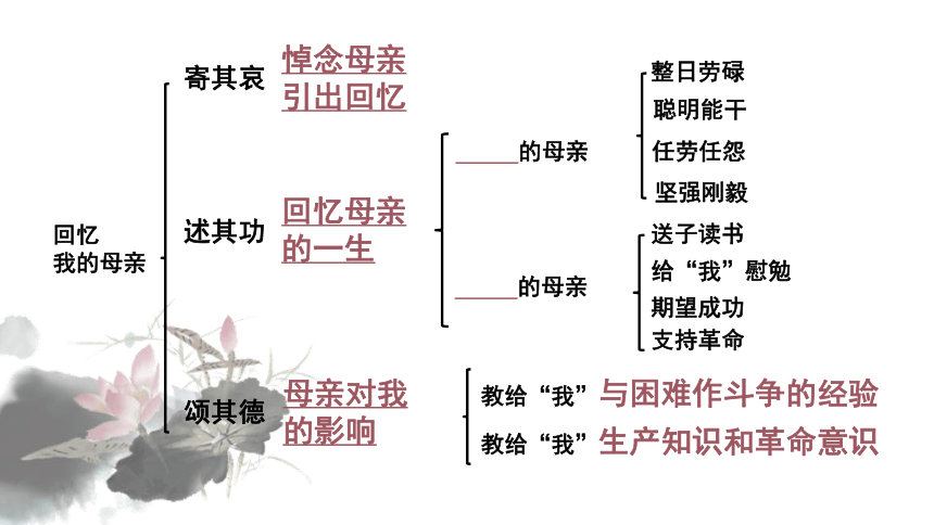 回忆我的母亲思维导图图片