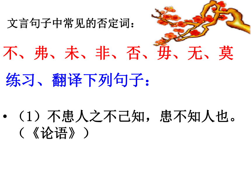 《理解与现代汉语不同的句式》 课件 (共31张)