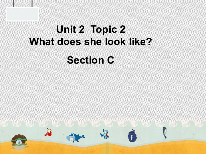 Unit 2 Looking Different Topic2 What does she look like Section C 课件19张PPT