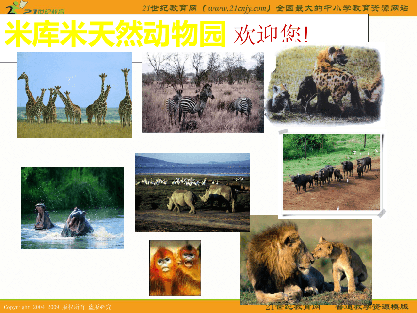 四年级语文下册课件 天然动物园漫游记 2（沪教版）