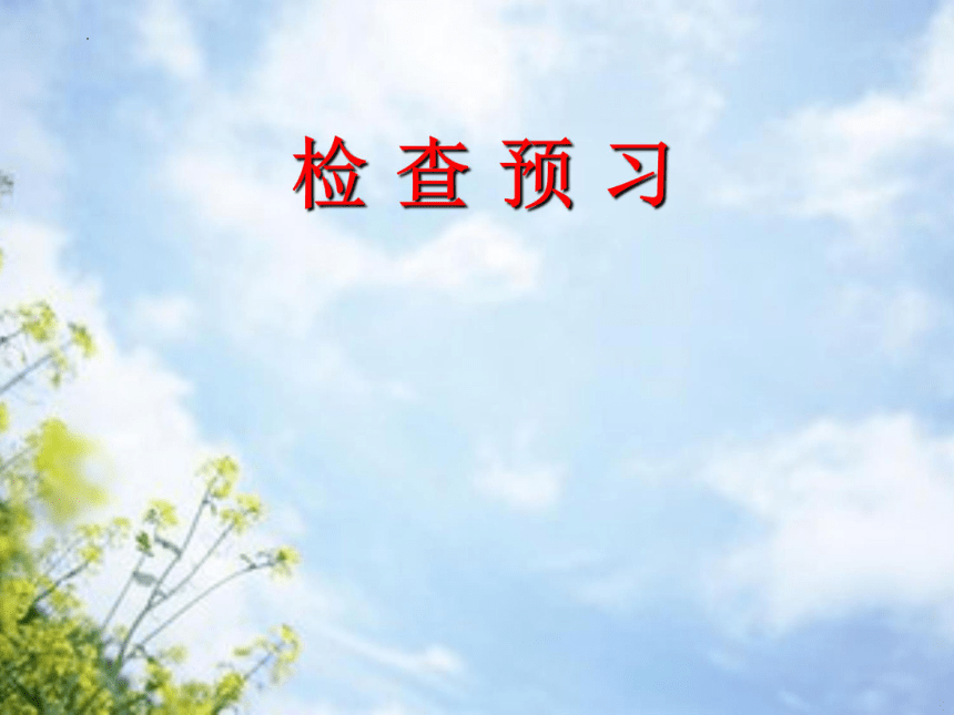 课件预览