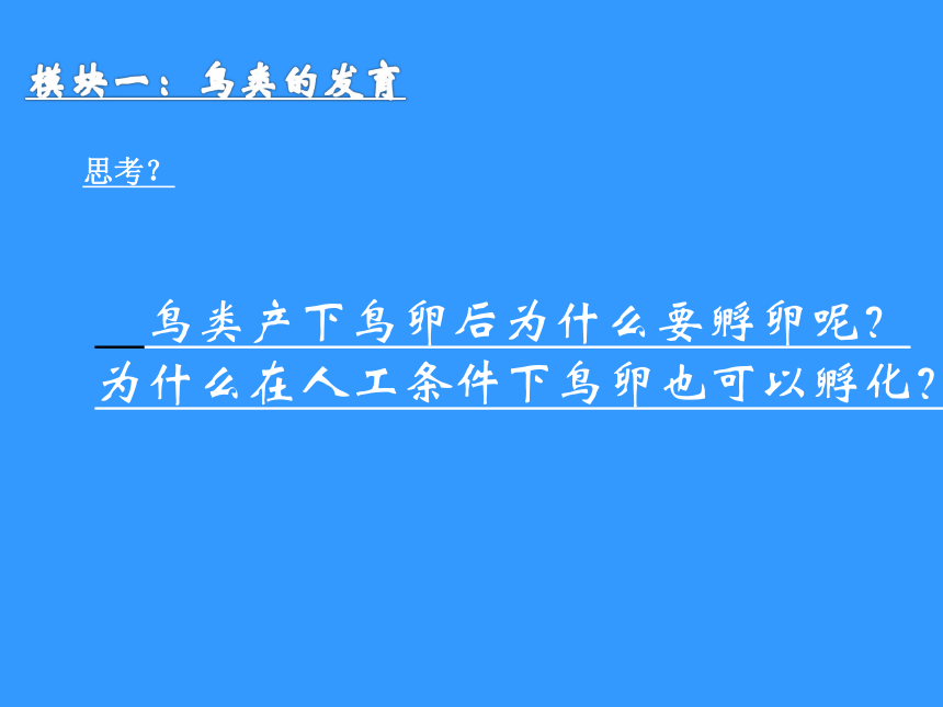 苏科版八年级上册生物 20.2动物的发育  课件（29张PPT）