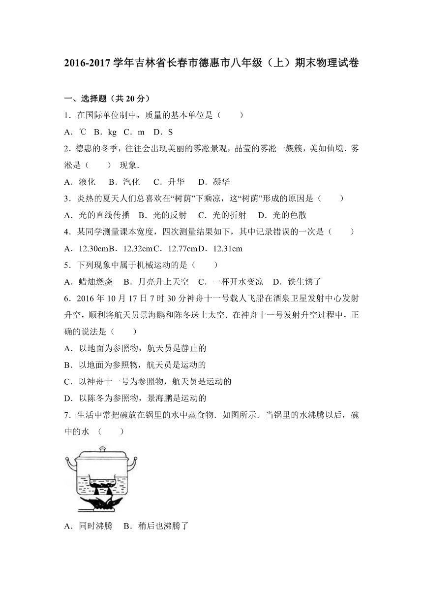 吉林省长春市德惠市2016-2017学年八年级（上）期末物理试卷（解析版）