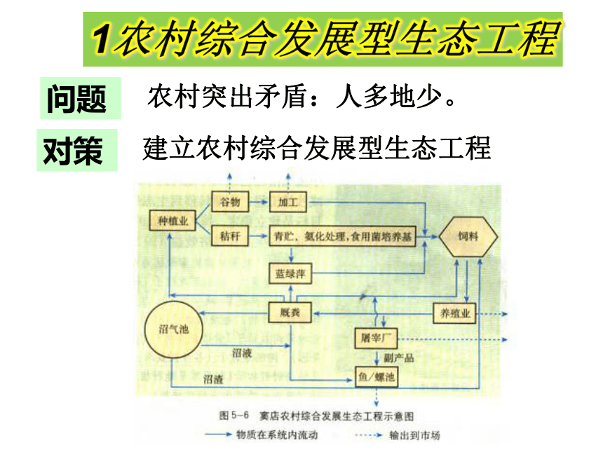 &选修三5.2生态工程的实例和发展前景（共24张PPT）