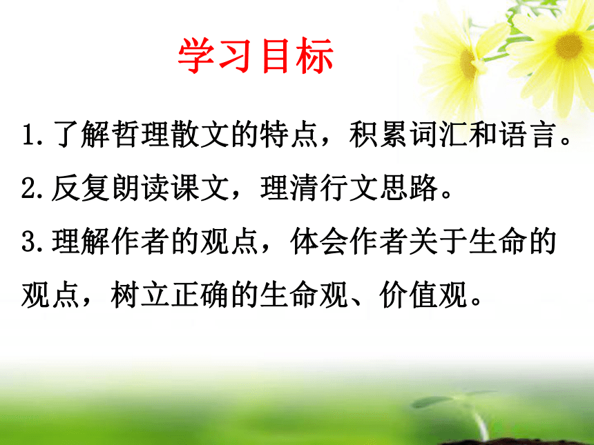 课件预览