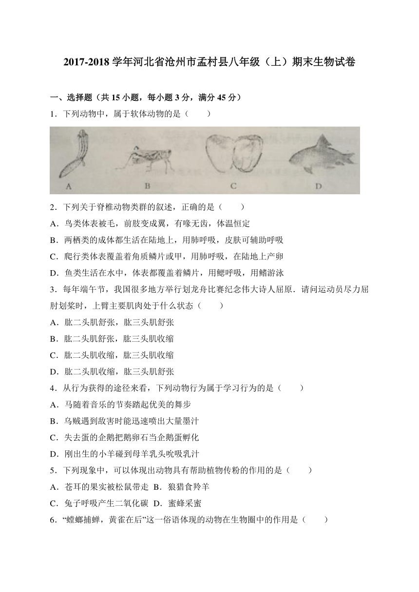 河北省沧州市孟村县2017-2018学年八年级上学期期末考试生物试卷（WORD版）