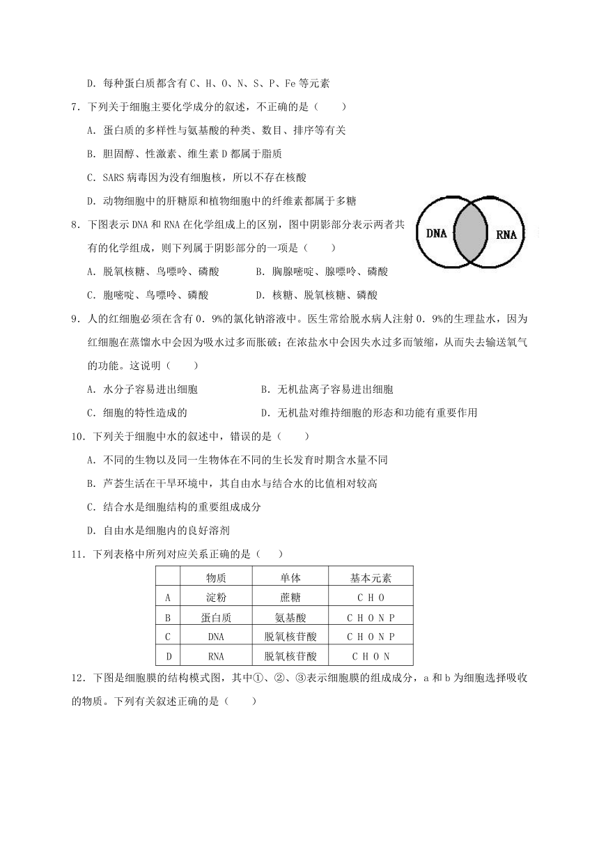 广西南宁市第八中学2016-2017学年高一上学期期末考试生物试题（无答案）