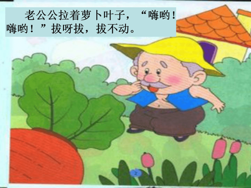 课件预览