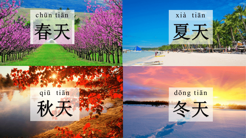 四季的天气(课件17张ppt)