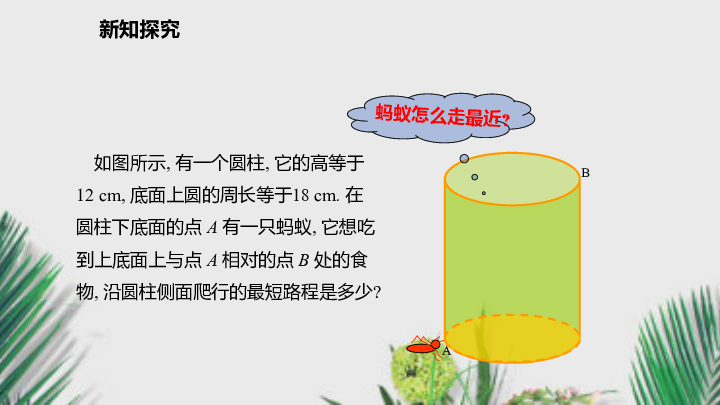 沪科版八年级数学下册课件18.1.2勾股定理的应用（15张）