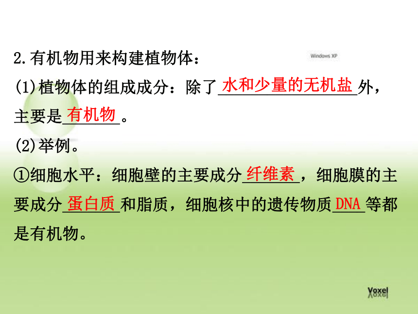 人教版七年级上册生物第四章至第六章 复习课件（共50张PPT）