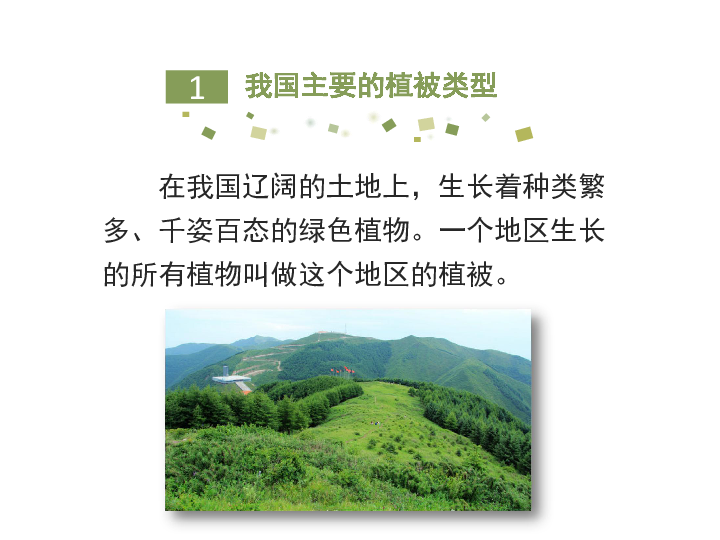 10.三单元第六章爱护植被，绿化祖国（25张PPT）