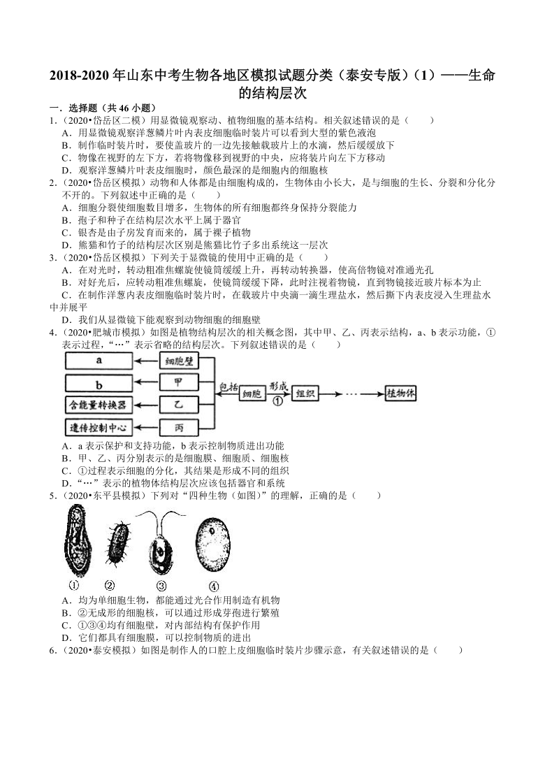 2018-2020年山东中考生物各地区模拟试题分类（泰安专版）（1）——生命的结构层次（word版含解析）