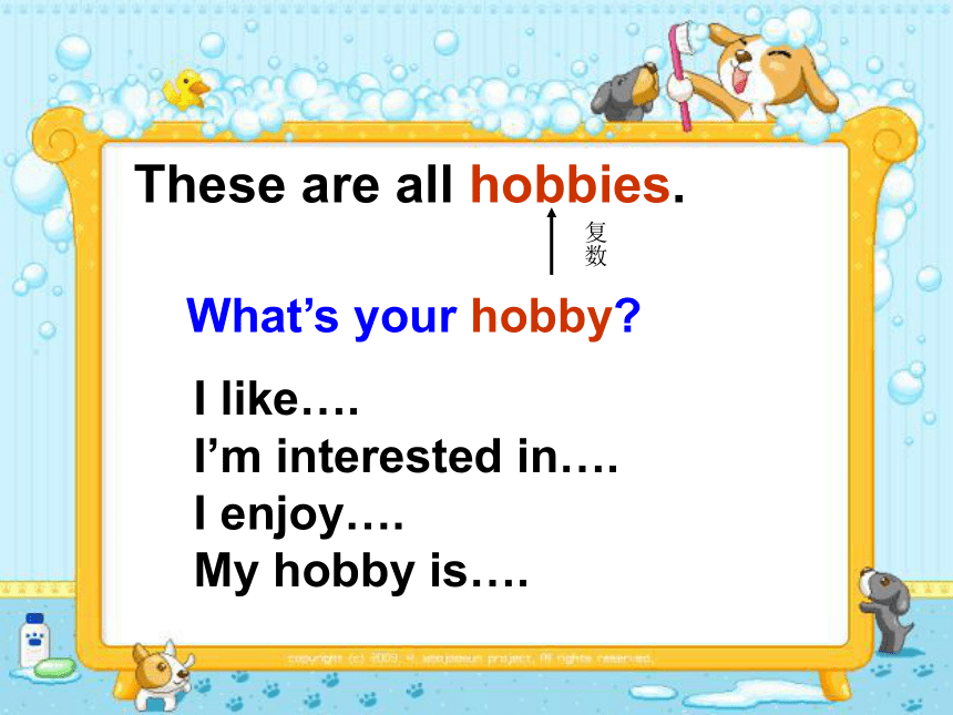 人教(新版)六年级英语上册课件 lesson 13 what is your hobby