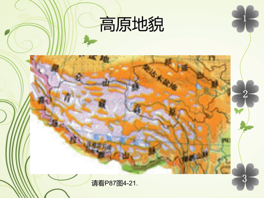 第三节 青藏地区和西北地区(青藏地区)