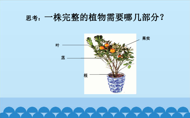 1.3我们离不开植物课件（53张PPT）