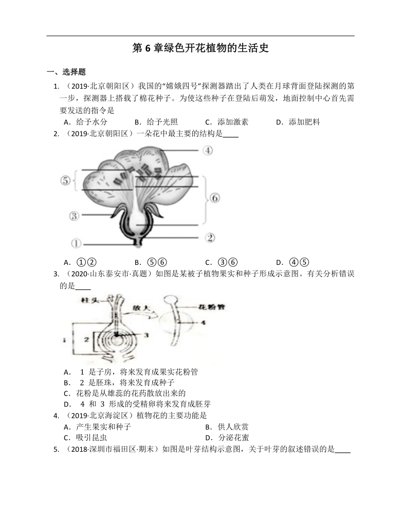 北师大版七年级生物上册第6章绿色开花植物的生活史单元练习（word版含解析）