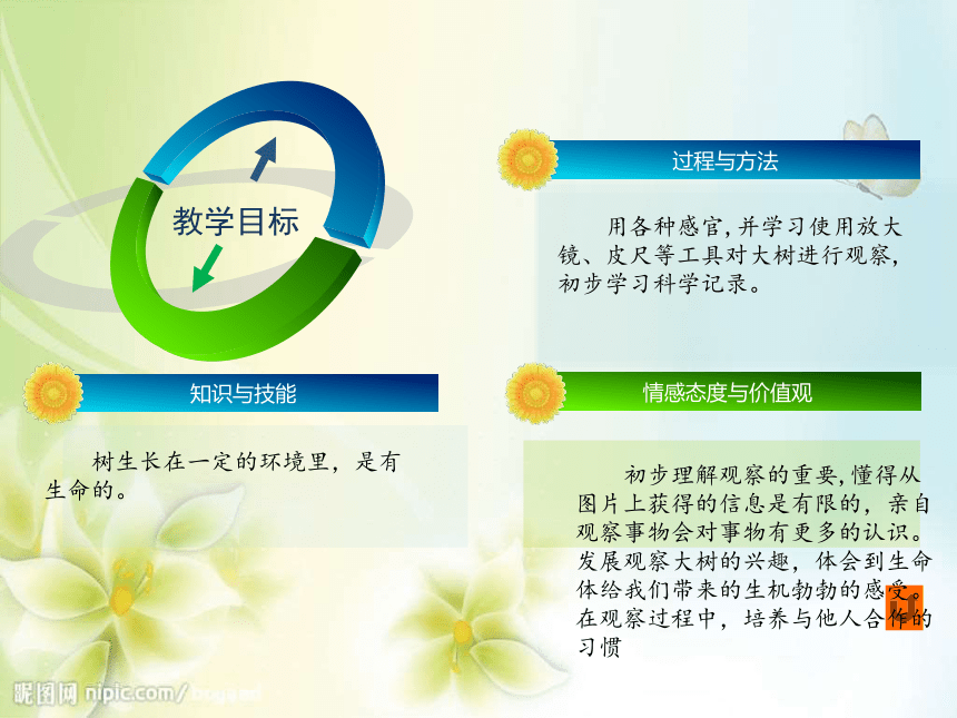 第一节 我看到了什么 教案（PPT）