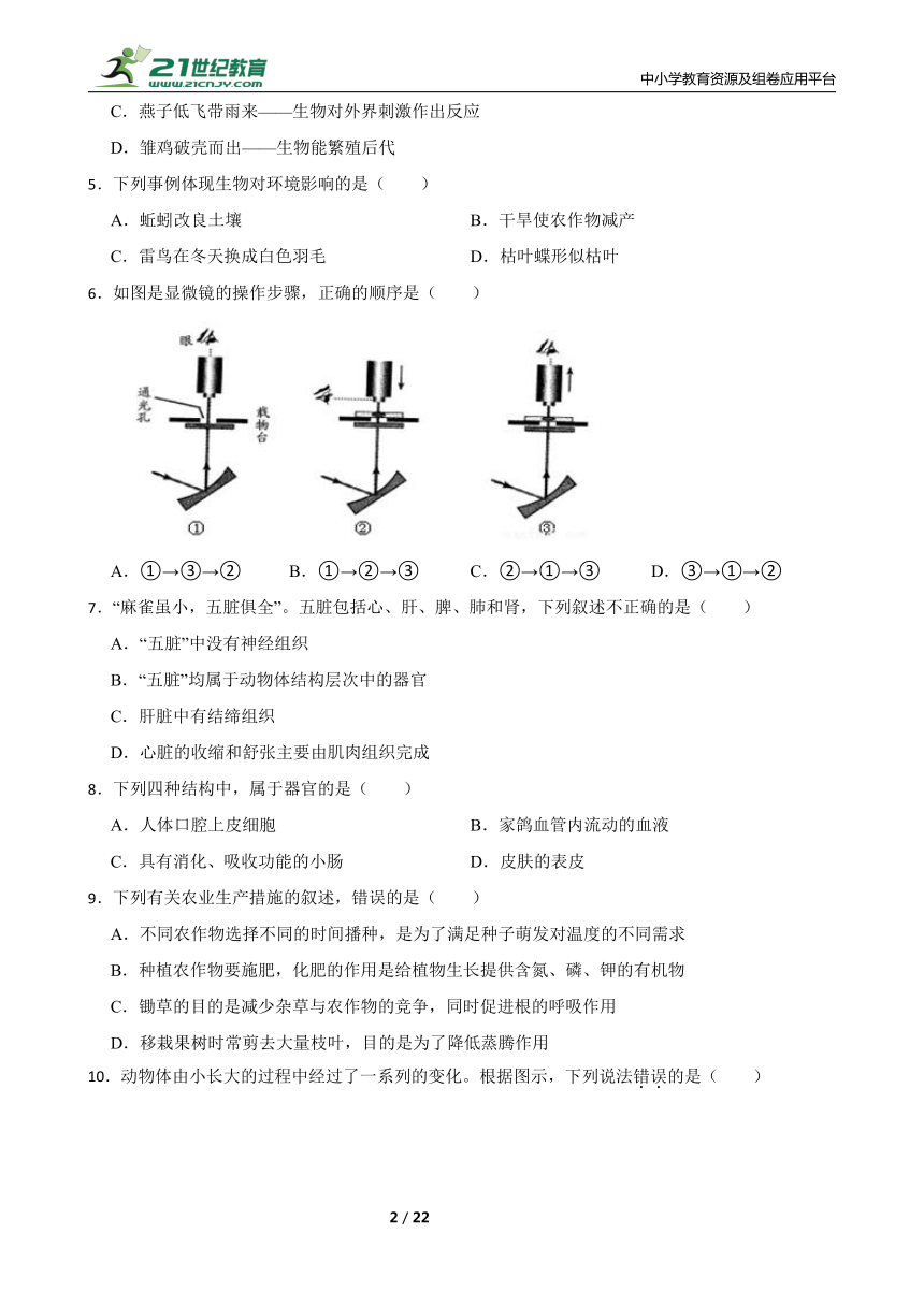 课件预览