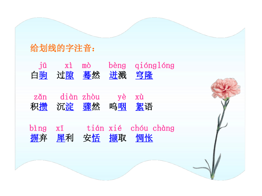 10-11版初中语文新课标同步授课课件：第8课  十三岁的际遇（苏教版七年级上）