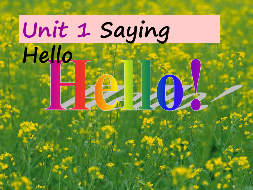 unit 1 say hello[上学期]