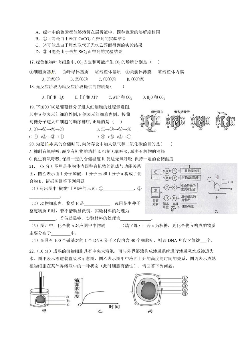 威宁县中水中学2018-2019学年第一学期第一次月考高三生物试卷