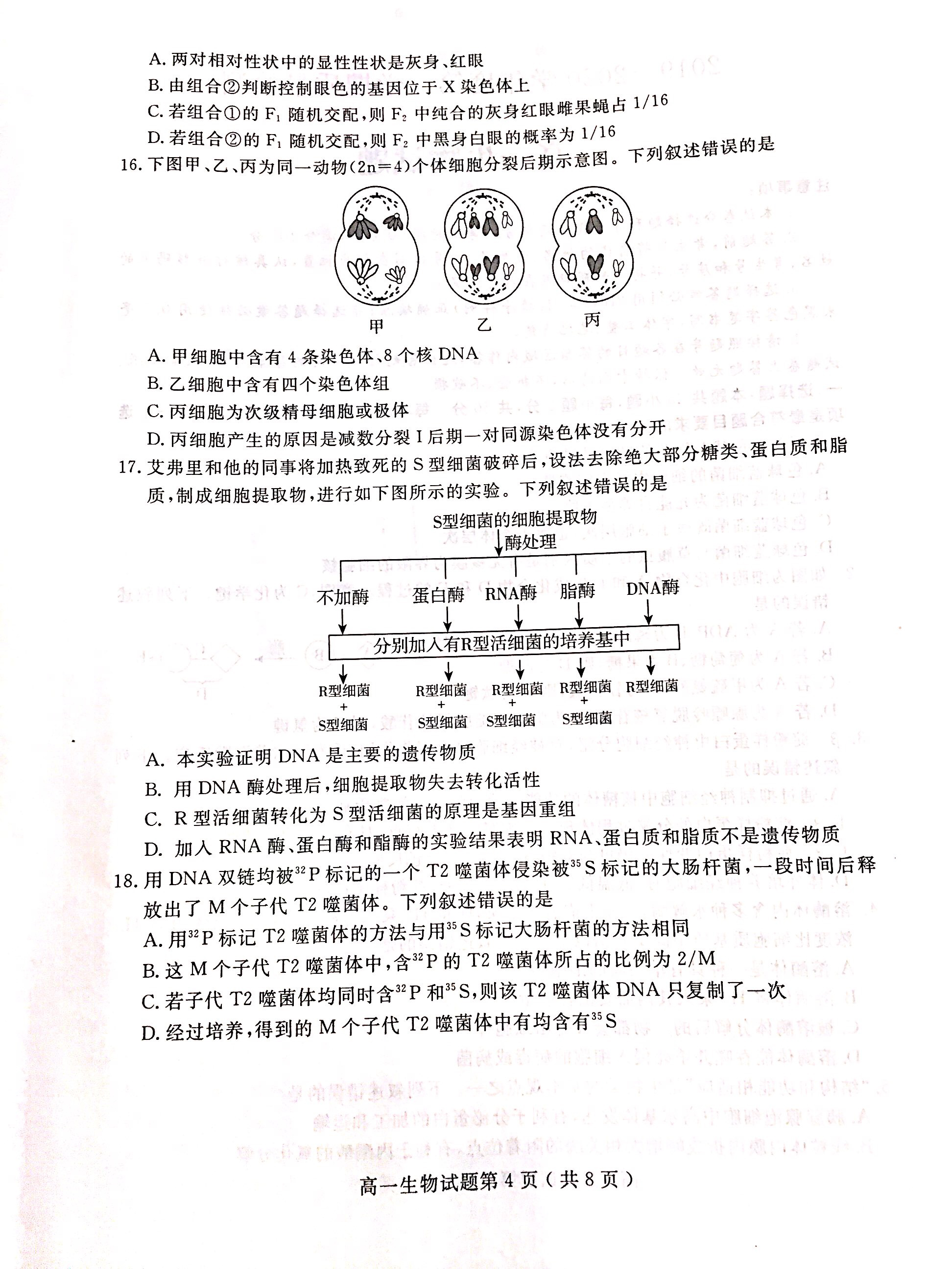 山东省济宁市邹城市2019-2020学年度第二学期期末质量检测高一年级生物试题（扫描版，无答案）