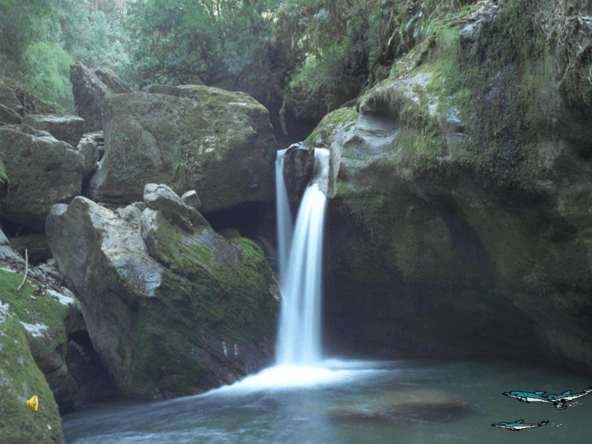 小石潭记