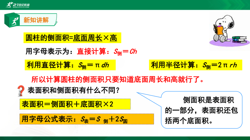 3.1.3圆柱——圆柱的表面积 同步课件