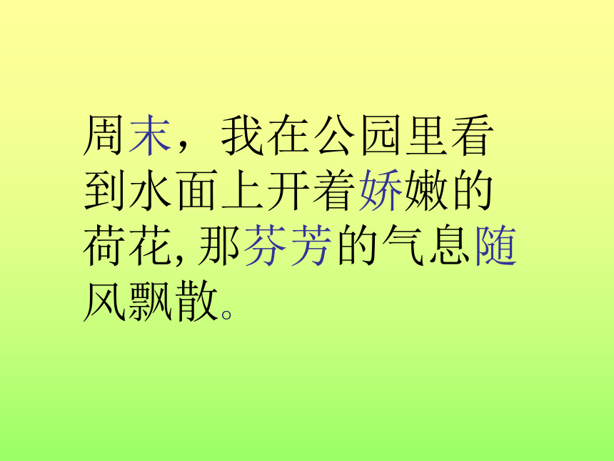 我不是最弱小的  课件