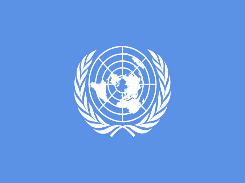 《我在联合国做报告》课件 (1)
