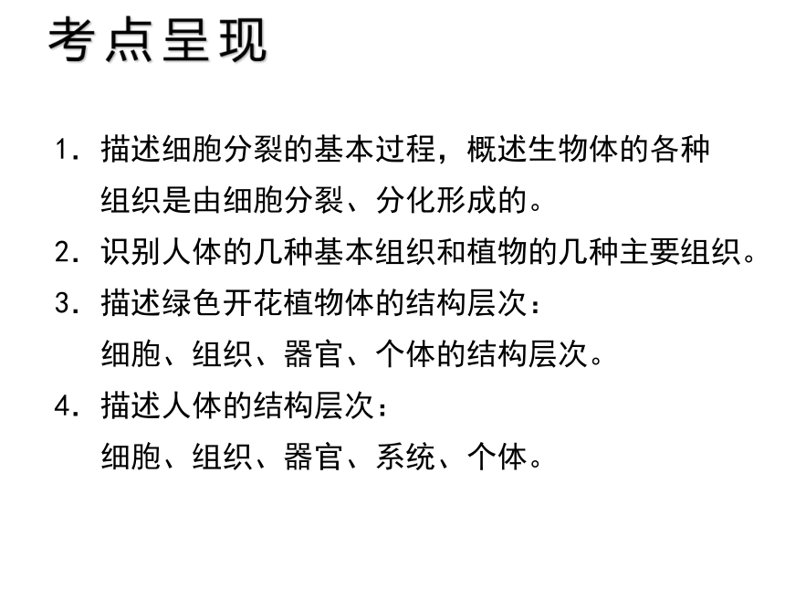 中考宝典2016中考（深圳版）生物会考课件：第三单元 生物体的结构层次（共25张PPT）