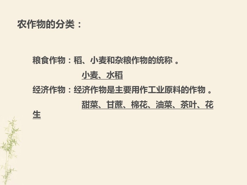 上海教育版地理七下《农业及其地区差异》ppt课件1