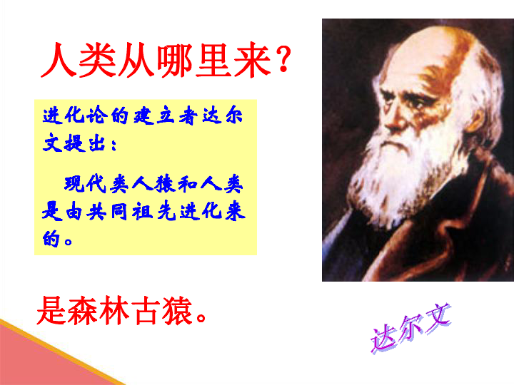 人教版七年级生物下册 4.1.1人类的起源和发展课件(26张PPT)